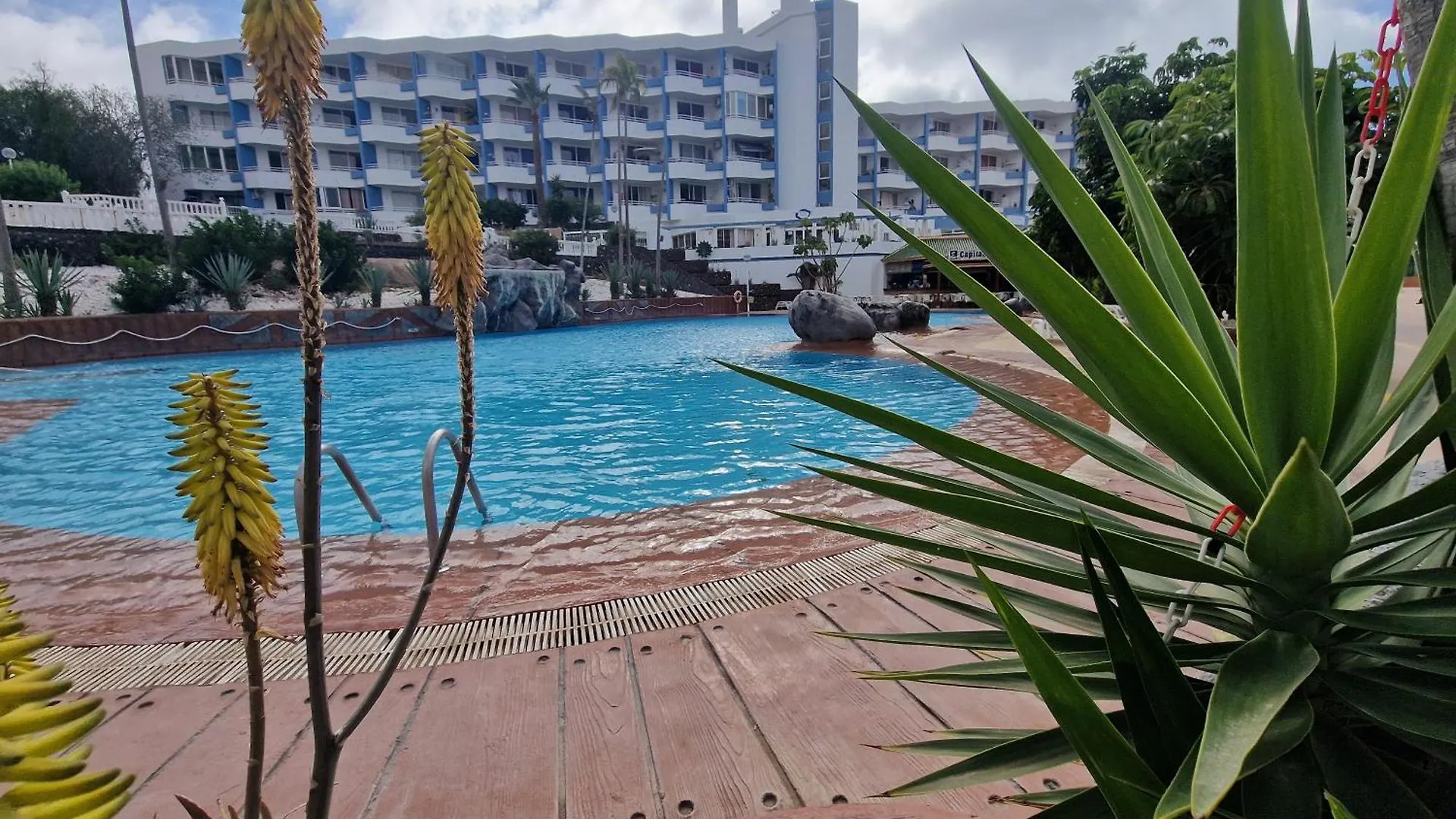 Golf Del Sur Deluxe Apartment San Miguel de Abona